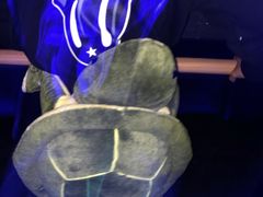 -VS SPORTS PARK运动玩乐园·团建·生日会(合生汇店)