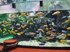 -太平洋海底世界