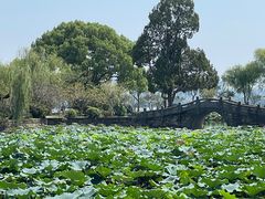 -无锡蠡湖国家湿地公园-蠡园