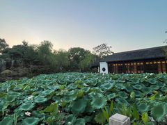 -杭州西子湖四季酒店·金沙厅