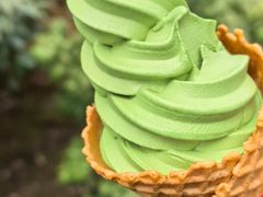 抹茶冰淇淋-豆政(金閣寺境内売店)