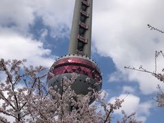 -东方明珠广播电视塔