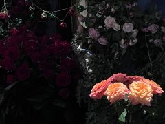 -第101座花园餐厅(湖滨88店)