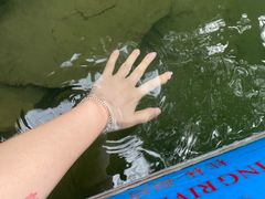 -龙颈河漂流