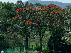 -火炉山森林公园