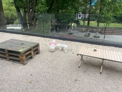 -J Create城市露营咖啡·简餐·宠物(上海动物园店)