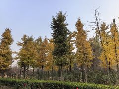 -廊坊市自然公园