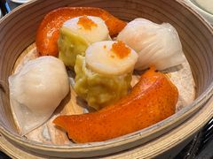 -翠园(北京王府中环店)