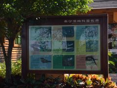 -大湾区中央湿地公园