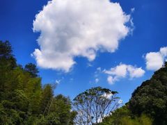 -江西龙虎山景区