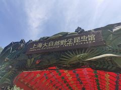 -上海大自然野生昆虫馆(东方明珠·爬宠昆虫探索中心)