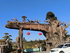 -刘伯温故里景区百丈漈