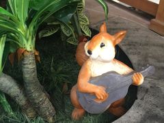 -南宫温泉水世界