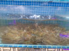 大螃蟹-蓝珊甄选海鲜自助·火锅大排档(近阿那亚店)