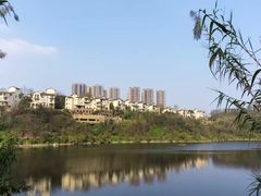 -重庆彩云湖湿地公园