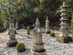 -少华山国家森林公园