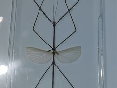 -上海昆虫博物馆