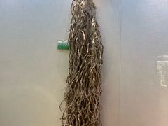 -广东中医药博物馆