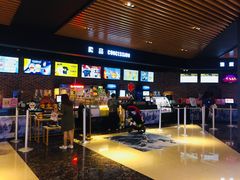 -SFC上影百联影城(川沙IMAX店)