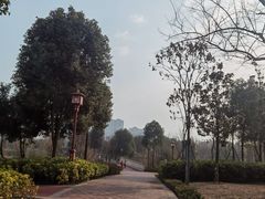 -眉山湿地公园(东坡区)