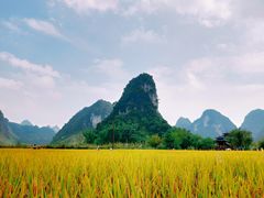 -靖西鹅泉风景区