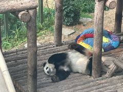 -大连森林动物园