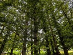 -国家植物园南园