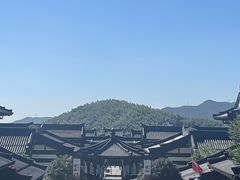 -大唐贡茶院