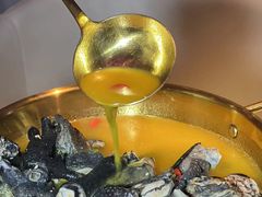 -Darling Queen·Mini·Live·House