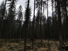 -硗碛藏寨·神木垒景区