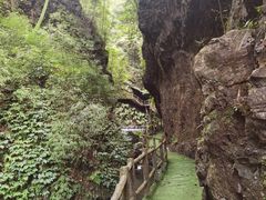 -神龙峡风景区