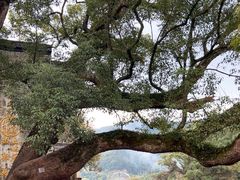 -上坦村