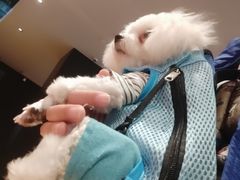-星巴克(天津鲁能中心第三店)