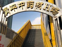 -清平中药材专业市场