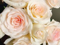 -循礼门鲜花花市(武汉循礼门店)