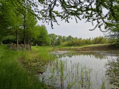 -贡湖湾湿地公园