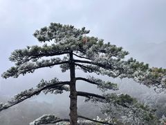 -黄山风景区