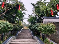 -仙岳公园