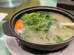 上汤西洋菜-尚膳苑私房菜