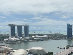 -新加坡瑞士史丹福酒店