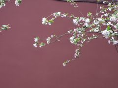 -钱王祠