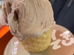 -野人先生现做冰淇淋(北京王府井东方新天地店)