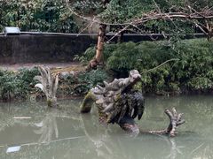 -汇龙潭
