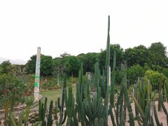 -东莞植物园