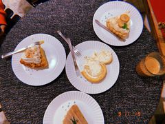 -猫里有甜