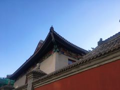-天津大悲禅院
