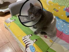 -北京恒爱动物医院(清景园分院)