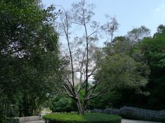 -深圳国际园林花卉博览园