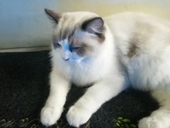 -零纪元VR体验馆·桌游(黄浦店)