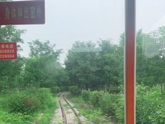 -西青郊野公园